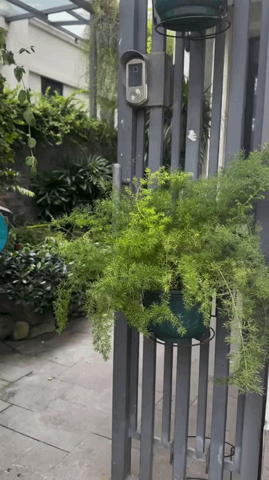 Nữ nghệ sĩ tái hôn với đại gia, được "chiều như trứng mỏng", sống sang chảnh trong biệt thự 200m² - Ảnh 6. Nữ nghệ sĩ tái hôn với đại gia, được "chiều như trứng mỏng", sống sang chảnh trong biệt thự 200m² - Ảnh 6.