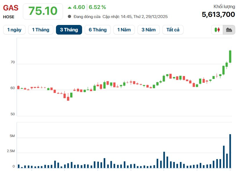 Thủ tướng Phạm Minh Chính chỉ đạo tại Hội nghị tổng kết PVN: Nhóm cổ phiếu năng lượng ‘phản ứng’ ngay, riêng&nbsp;PVB tăng kịch trần- Ảnh 4.