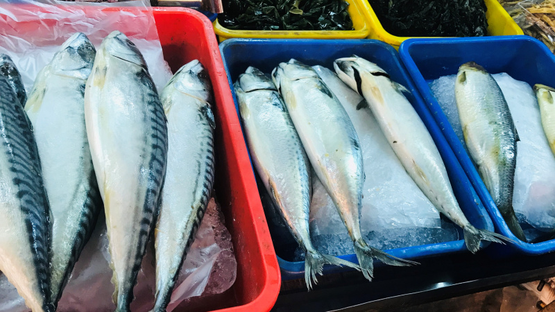 Ăn 3 món mỗi ngày, sau 8 tháng người đàn ông 38 tuổi suy thận giai đoạn 4 nhận kết quả bất ngờ- Ảnh 4.