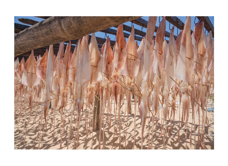 Không phải chả mực, món ăn từ 400.000 đồng/kg này mới là hương vị Việt lọt top 10 ngon nhất thế giới- Ảnh 2. Không phải chả mực, món ăn từ 400.000 đồng/kg này mới là hương vị Việt lọt top 10 ngon nhất thế giới- Ảnh 2.