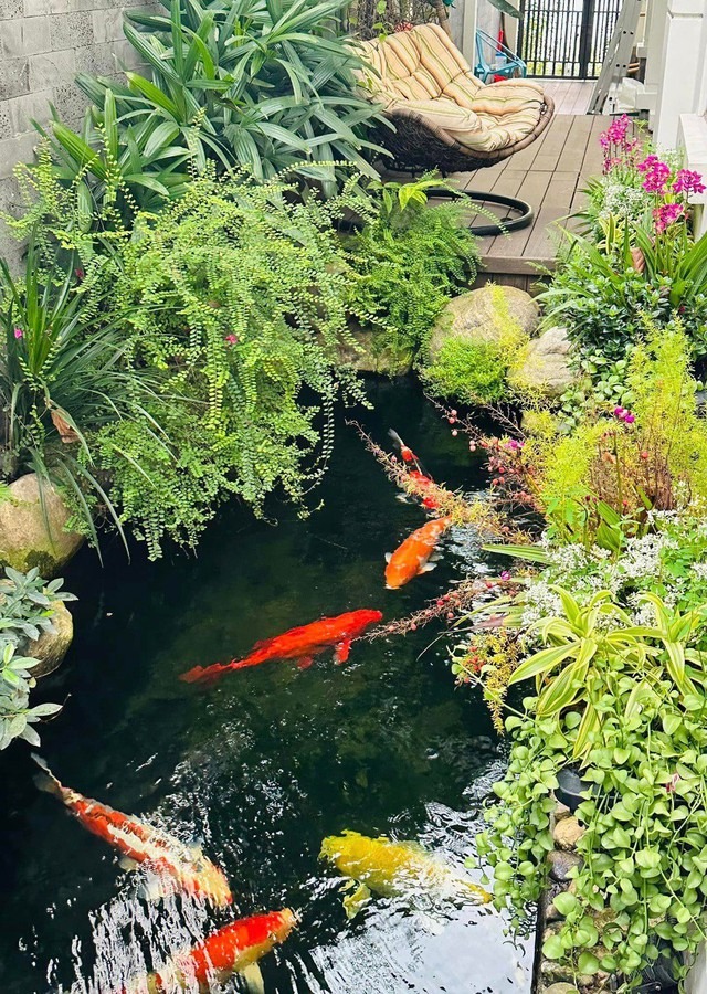 Nữ nghệ sĩ tái hôn với đại gia, được "chiều như trứng mỏng", sống sang chảnh trong biệt thự 200m² - Ảnh 5. Nữ nghệ sĩ tái hôn với đại gia, được "chiều như trứng mỏng", sống sang chảnh trong biệt thự 200m² - Ảnh 5.