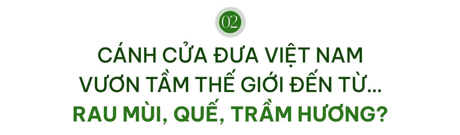 Khi những nguyên liệu “nhà nào cũng có” trở thành kho báu để doanh nghiệp Việt vươn tầm thế giới  - Ảnh 4.