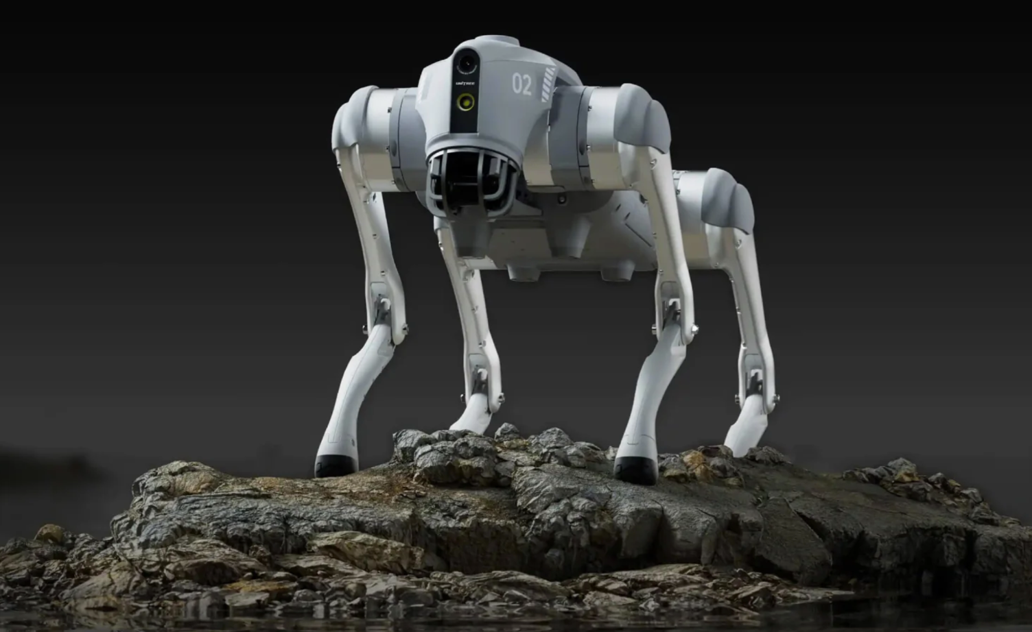 Trung Quốc ra mắt dịch vụ cho thuê robot hình người để làm việc, kể cả ma chay cưới hỏi... - Ảnh 2.