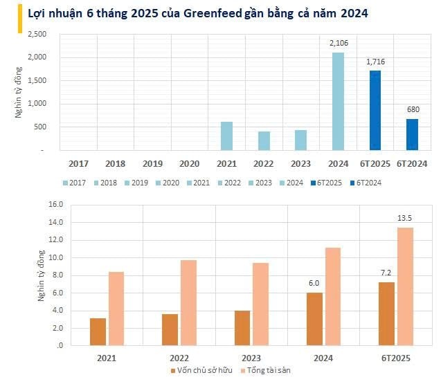 Một đại gia chăn nuôi báo lãi 1.700 tỷ trong 6T2025, gần gấp đôi Nông nghiệp Hòa Phát và Dabaco- Ảnh 1.