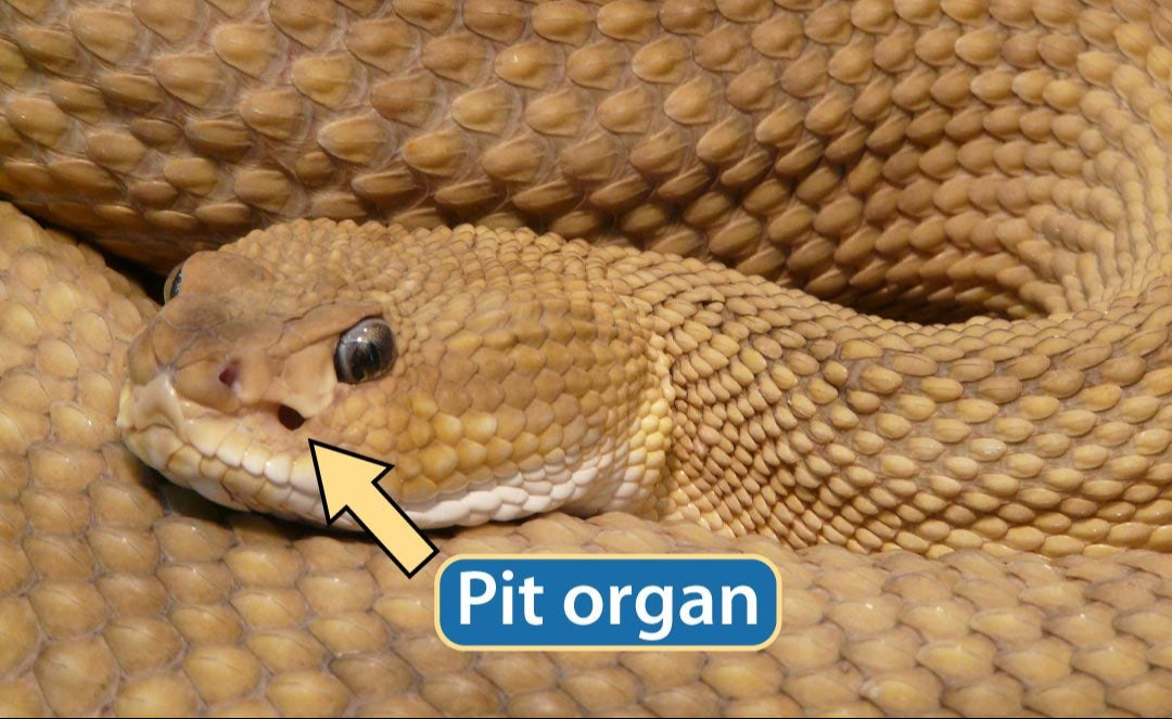 Phát minh Phát minh