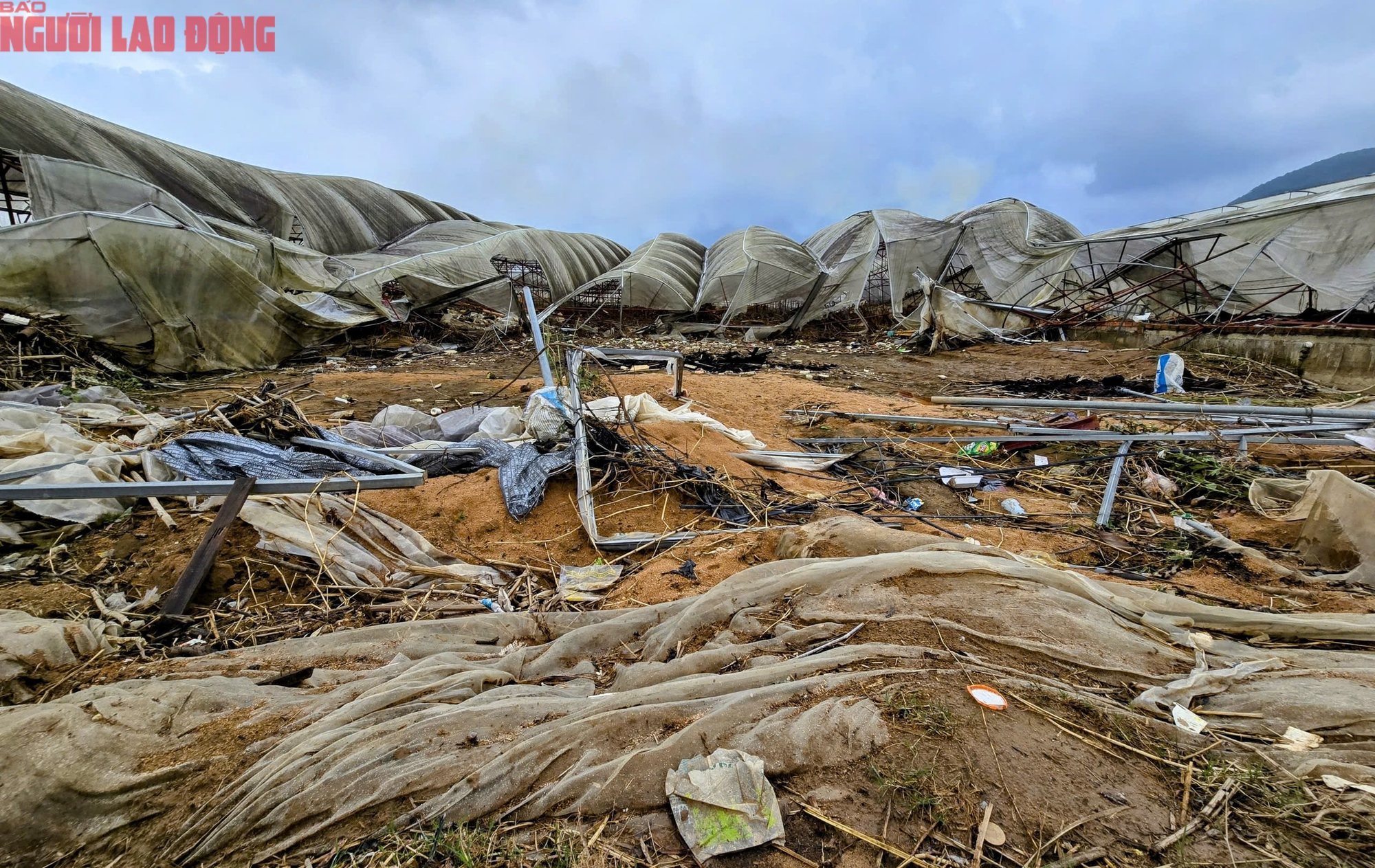 CLIP: Vựa rau lớn nhất Lâm Đồng xác xơ, nông dân mất tiền tỉ sau cơn "đại hồng thủy"- Ảnh 1.