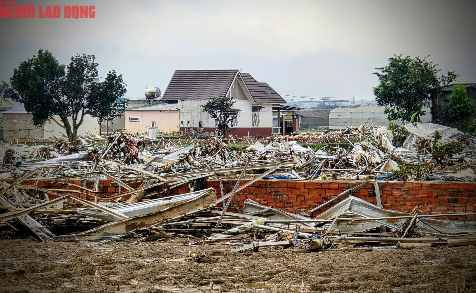 CLIP: Vựa rau lớn nhất Lâm Đồng xác xơ, nông dân mất tiền tỉ sau cơn "đại hồng thủy"- Ảnh 3.