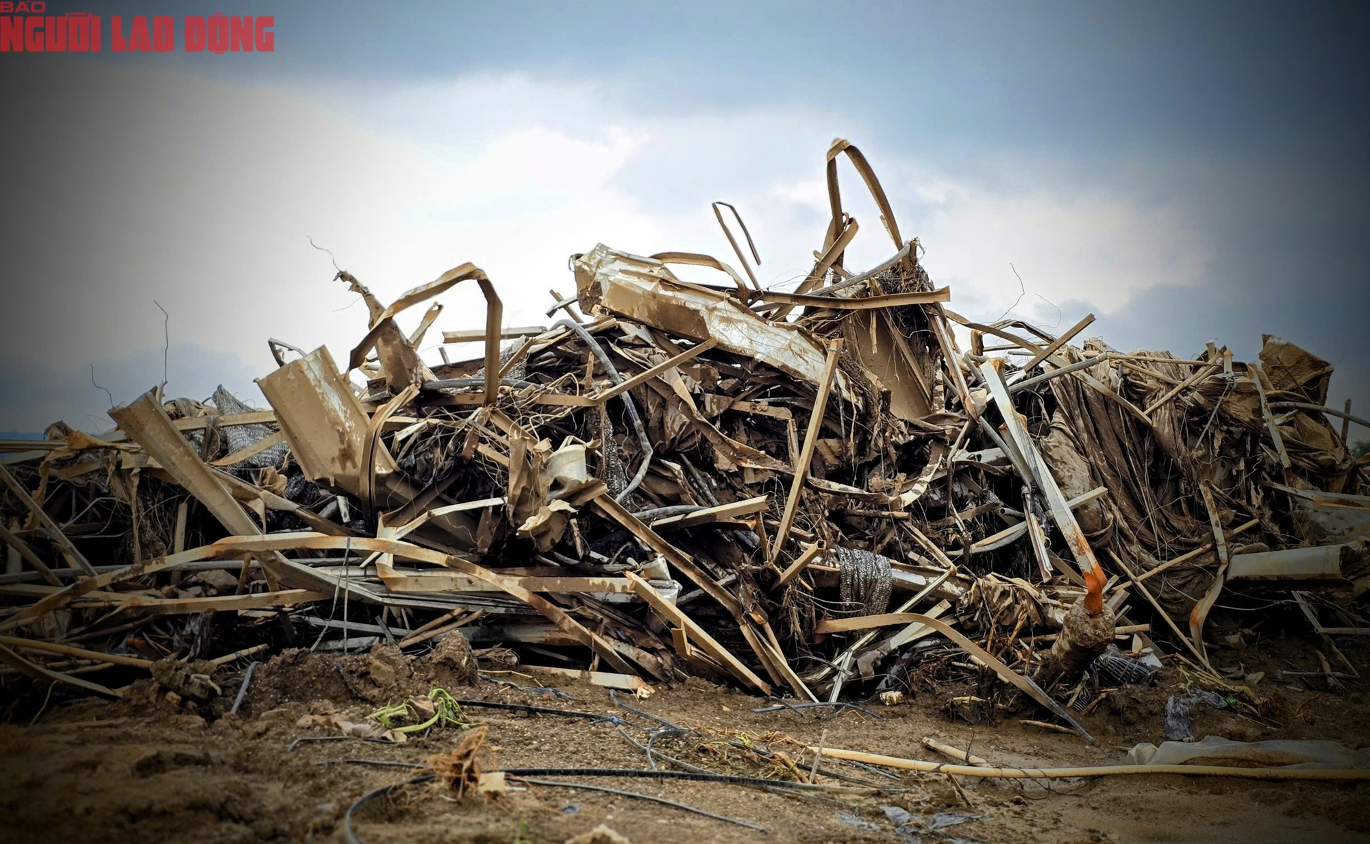 CLIP: Vựa rau lớn nhất Lâm Đồng xác xơ, nông dân mất tiền tỉ sau cơn "đại hồng thủy"- Ảnh 4.