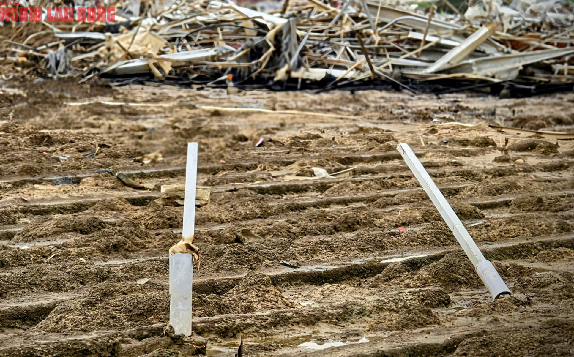 CLIP: Vựa rau lớn nhất Lâm Đồng xác xơ, nông dân mất tiền tỉ sau cơn "đại hồng thủy"- Ảnh 7.