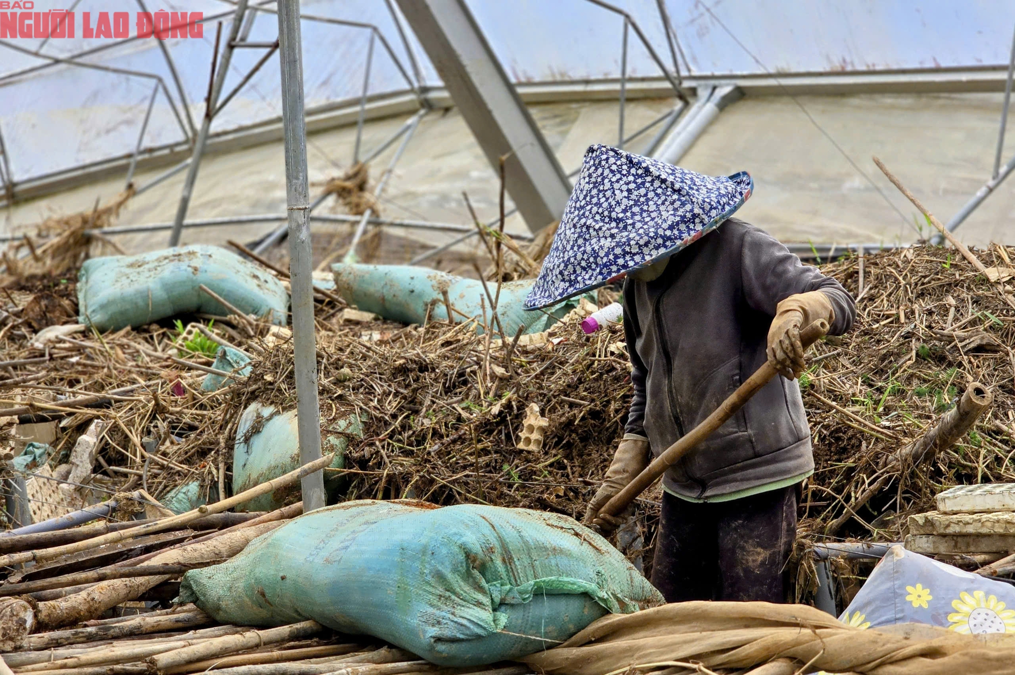 CLIP: Vựa rau lớn nhất Lâm Đồng xác xơ, nông dân mất tiền tỉ sau cơn "đại hồng thủy"- Ảnh 9.