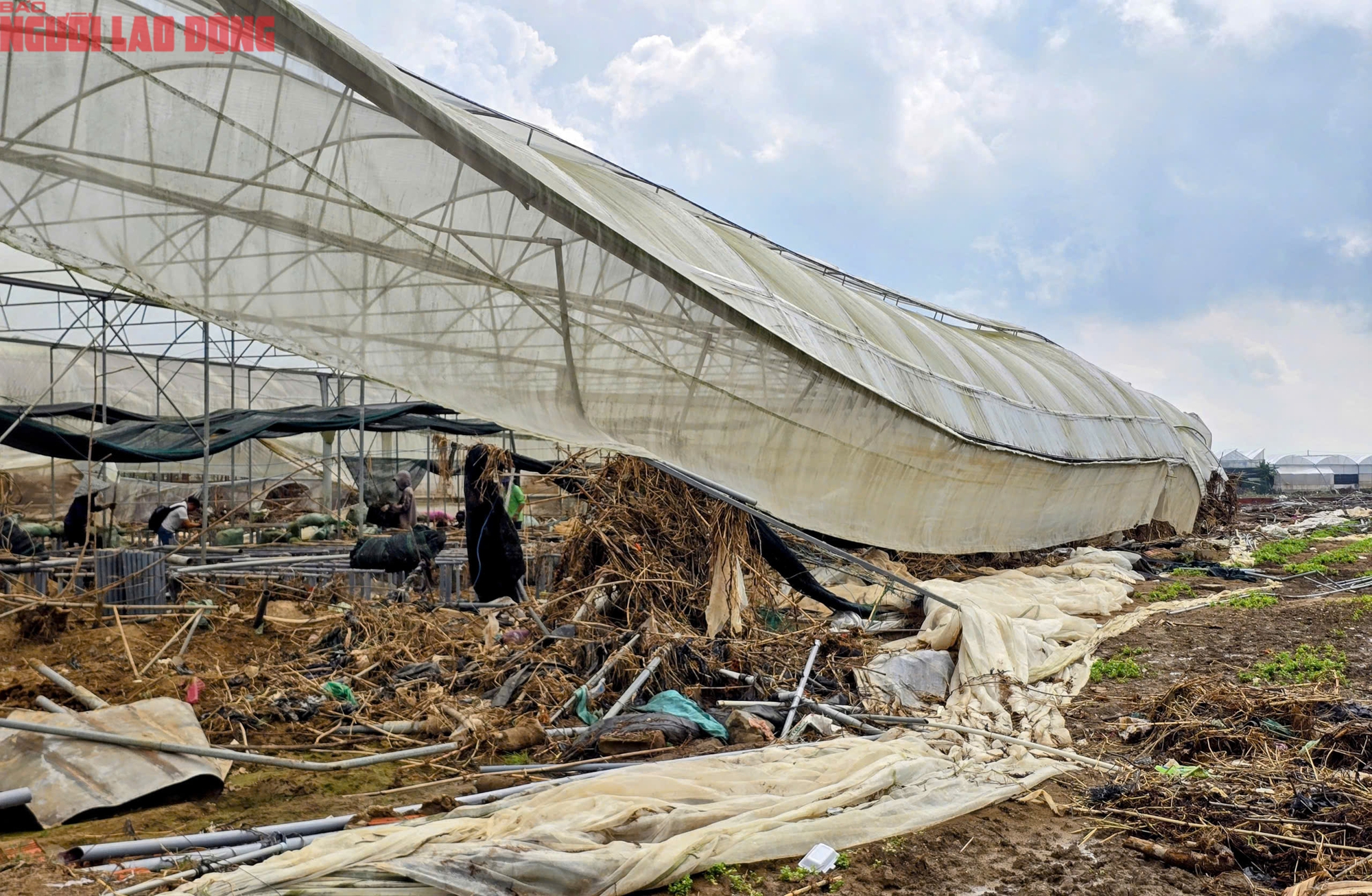 CLIP: Vựa rau lớn nhất Lâm Đồng xác xơ, nông dân mất tiền tỉ sau cơn "đại hồng thủy"- Ảnh 14.
