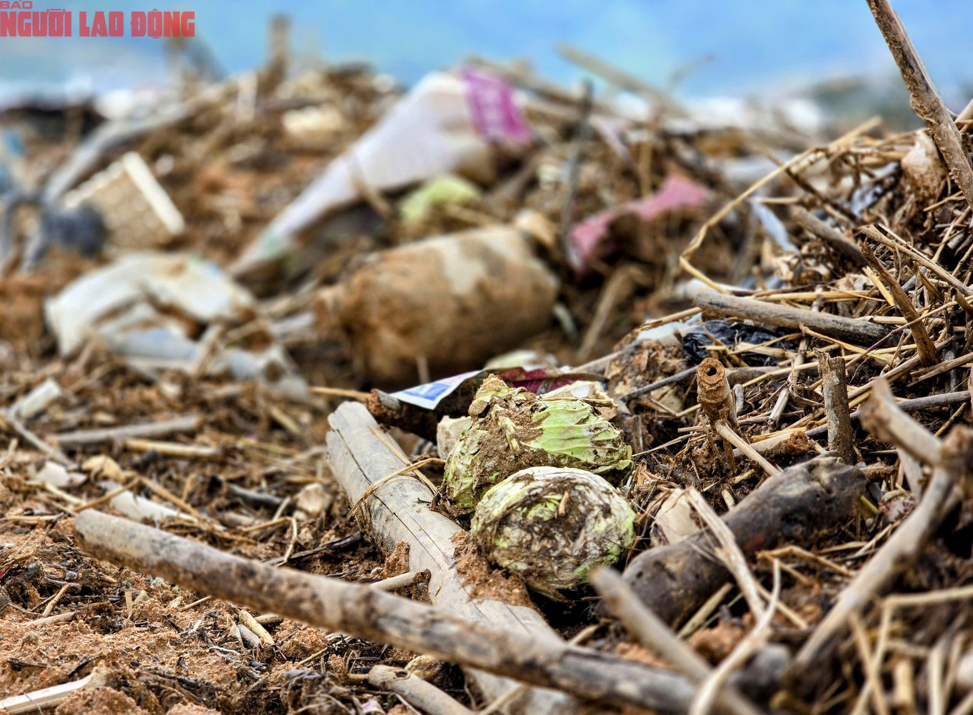 CLIP: Vựa rau lớn nhất Lâm Đồng xác xơ, nông dân mất tiền tỉ sau cơn "đại hồng thủy"- Ảnh 20.