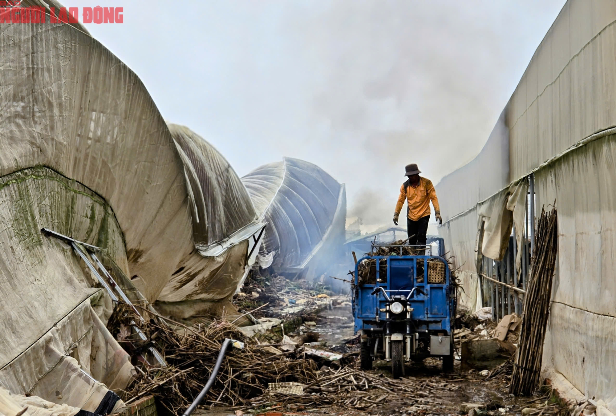 CLIP: Vựa rau lớn nhất Lâm Đồng xác xơ, nông dân mất tiền tỉ sau cơn "đại hồng thủy"- Ảnh 23.