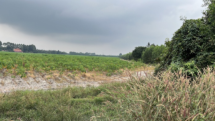 Cận cảnh khu đất giá khởi điểm hơn 5.000 tỉ đồng ở Đồng Nai- Ảnh 6.