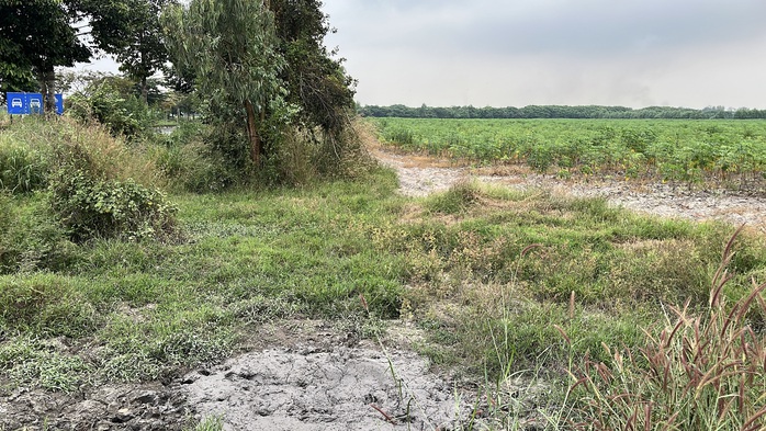 Cận cảnh khu đất giá khởi điểm hơn 5.000 tỉ đồng ở Đồng Nai- Ảnh 8.