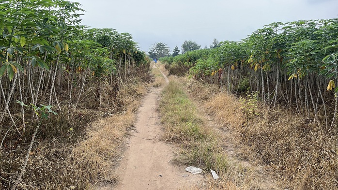 Cận cảnh khu đất giá khởi điểm hơn 5.000 tỉ đồng ở Đồng Nai- Ảnh 11.