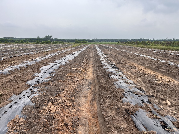 Cận cảnh khu đất giá khởi điểm hơn 5.000 tỉ đồng ở Đồng Nai- Ảnh 12.