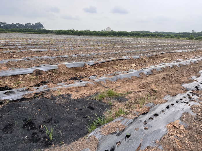 Cận cảnh khu đất giá khởi điểm hơn 5.000 tỉ đồng ở Đồng Nai- Ảnh 3.