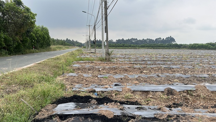 Cận cảnh khu đất giá khởi điểm hơn 5.000 tỉ đồng ở Đồng Nai- Ảnh 2.