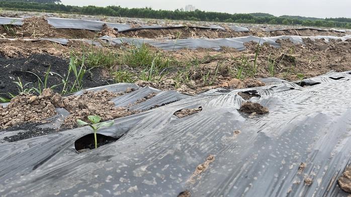 Cận cảnh khu đất giá khởi điểm hơn 5.000 tỉ đồng ở Đồng Nai- Ảnh 5.