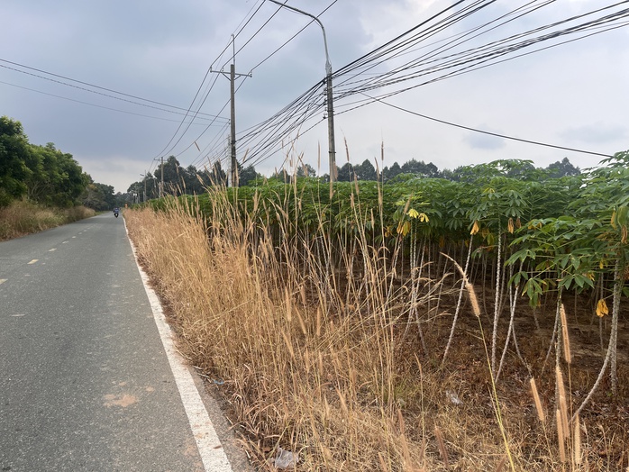 Cận cảnh khu đất giá khởi điểm hơn 5.000 tỉ đồng ở Đồng Nai- Ảnh 13.