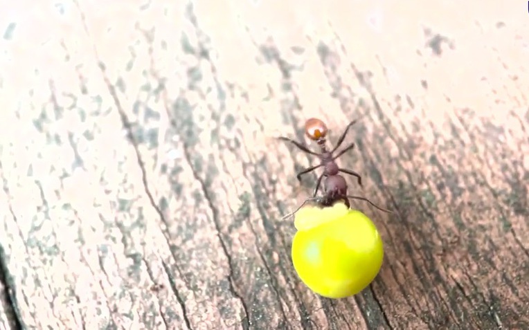 Phát hiện ở sân sau nhà của một cậu bé 8 tuổi đã thực sự thay đổi khoa học mãi mãi- Ảnh 1.