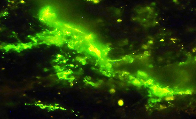 Một tảng đá 2 tỷ năm tuổi vừa nứt ra, để lộ bên trong bí mật chấn động- Ảnh 3.