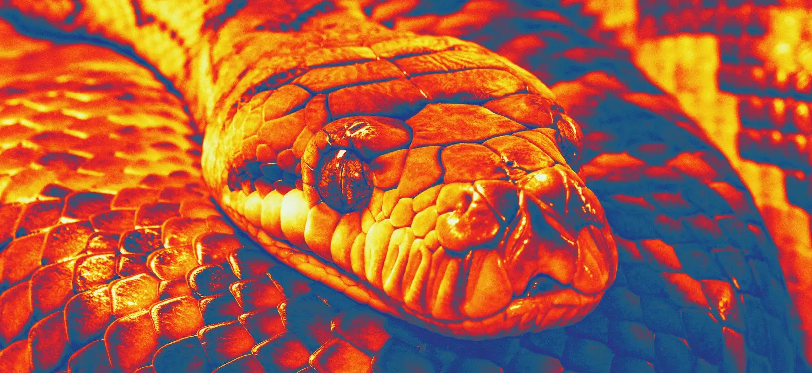 Phát minh Phát minh