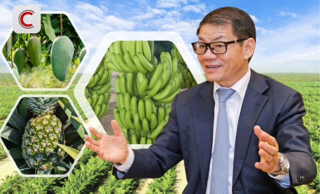 Tỷ phú Trần Bá Dương kể về thương vụ bán chuối trong 10 năm cho Tỷ phú Trần Bá Dương kể về thương vụ bán chuối trong 10 năm cho