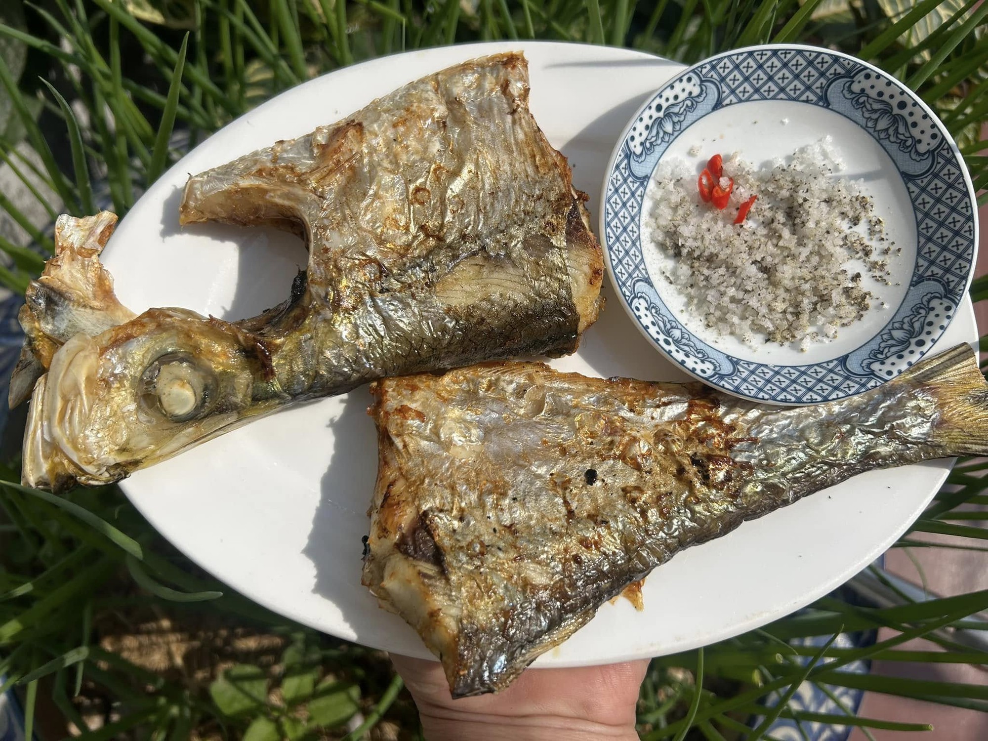 Loại cá được mệnh danh là "tứ quý ngư”, đứng đầu danh sách cá quý mà dân sành ăn săn lùng - Ảnh 3.