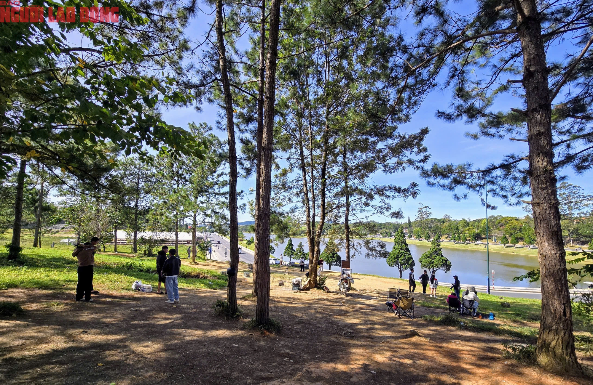 Con dốc "view siêu đẹp" ở Đà Lạt thu hút khách check-in từ sáng đến chiều- Ảnh 1.