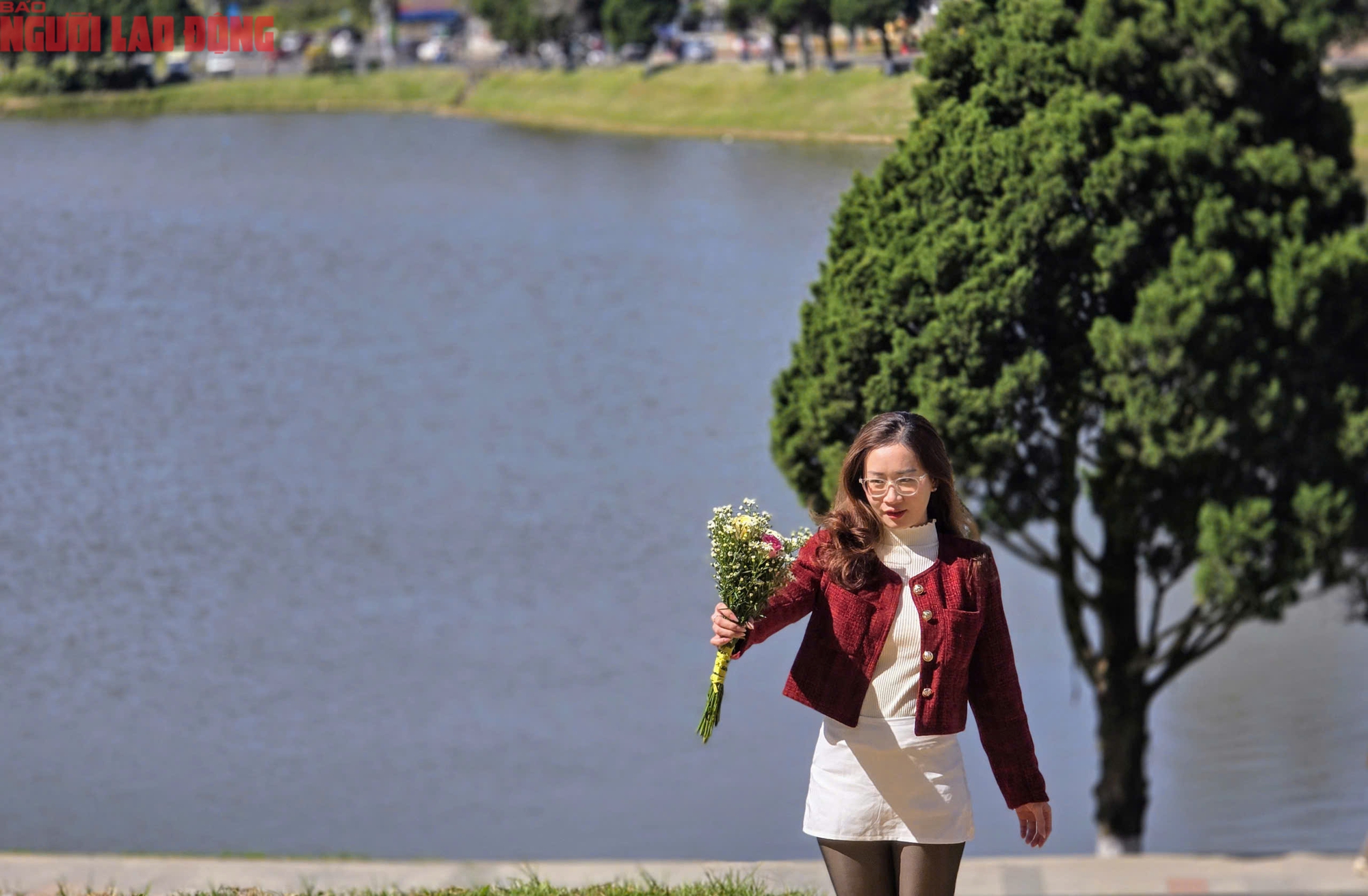 Con dốc "view siêu đẹp" ở Đà Lạt thu hút khách check-in từ sáng đến chiều- Ảnh 9.