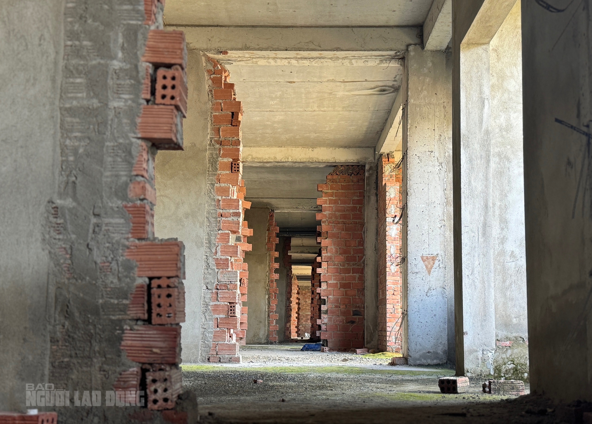 Cảnh hoang hóa tại khu đô thị Golden Hills City Đà Nẵng sau 2 lần Thanh tra - Ảnh 8.