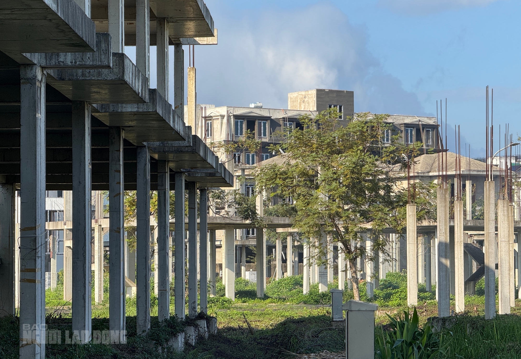 Cảnh hoang hóa tại khu đô thị Golden Hills City Đà Nẵng sau 2 lần Thanh tra - Ảnh 10.