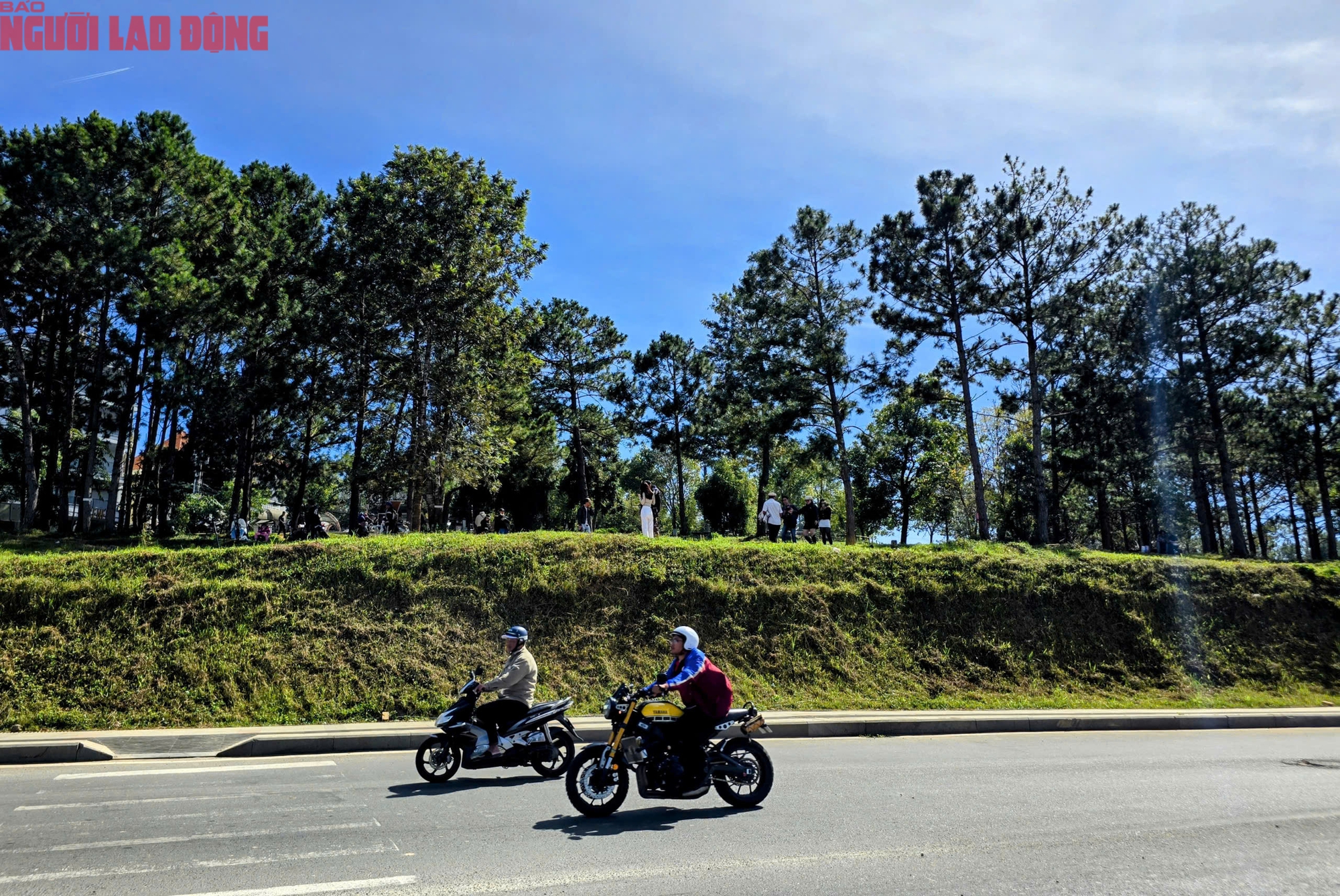 Con dốc "view siêu đẹp" ở Đà Lạt thu hút khách check-in từ sáng đến chiều- Ảnh 3.