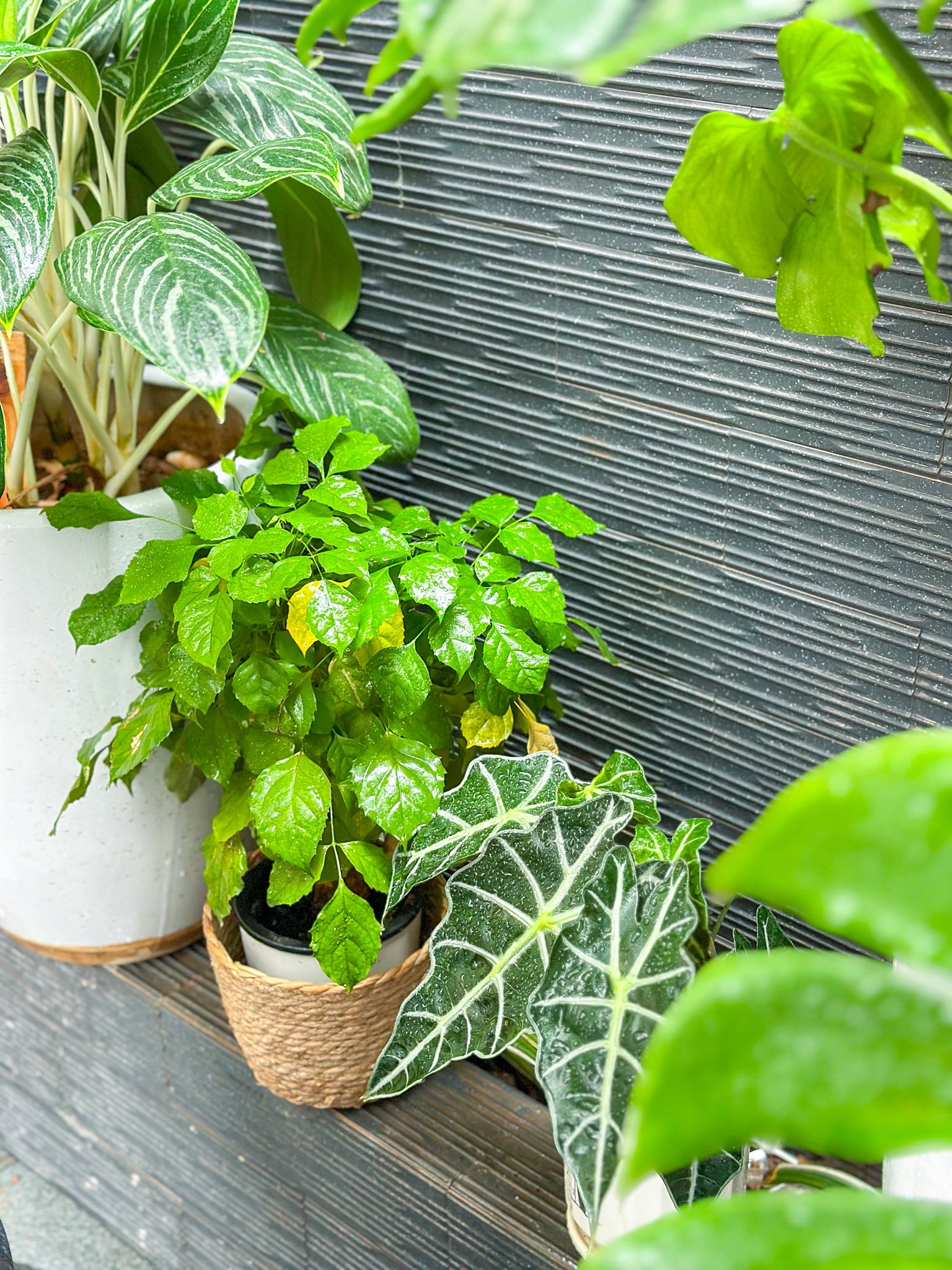 Mẹo dọn nhà "cuốn chiếu" chỉ 45 phút cho 6 tầng nhà của vợ đảm Hà Nội: Nhà thơm lừng, sạch từng ngóc ngách - Ảnh 17.