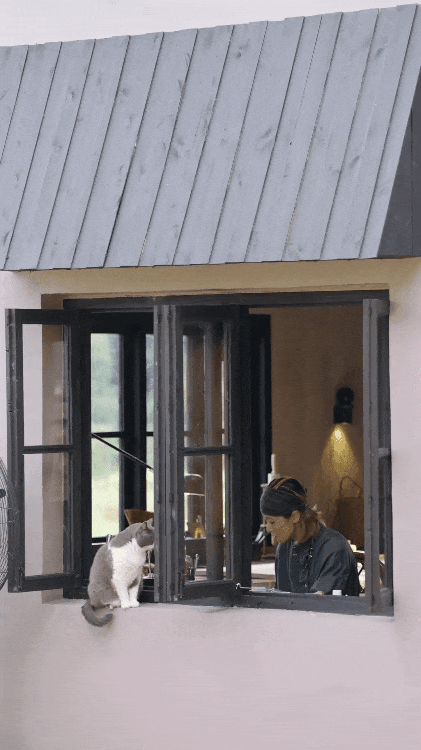  Hai người phụ nữ 40  bỏ phố về quê: Chi 400 triệu cải tạo nhà cũ, tạo mô hình sống - làm - nghỉ bền vững và tự chủ tài chính- Ảnh 6.