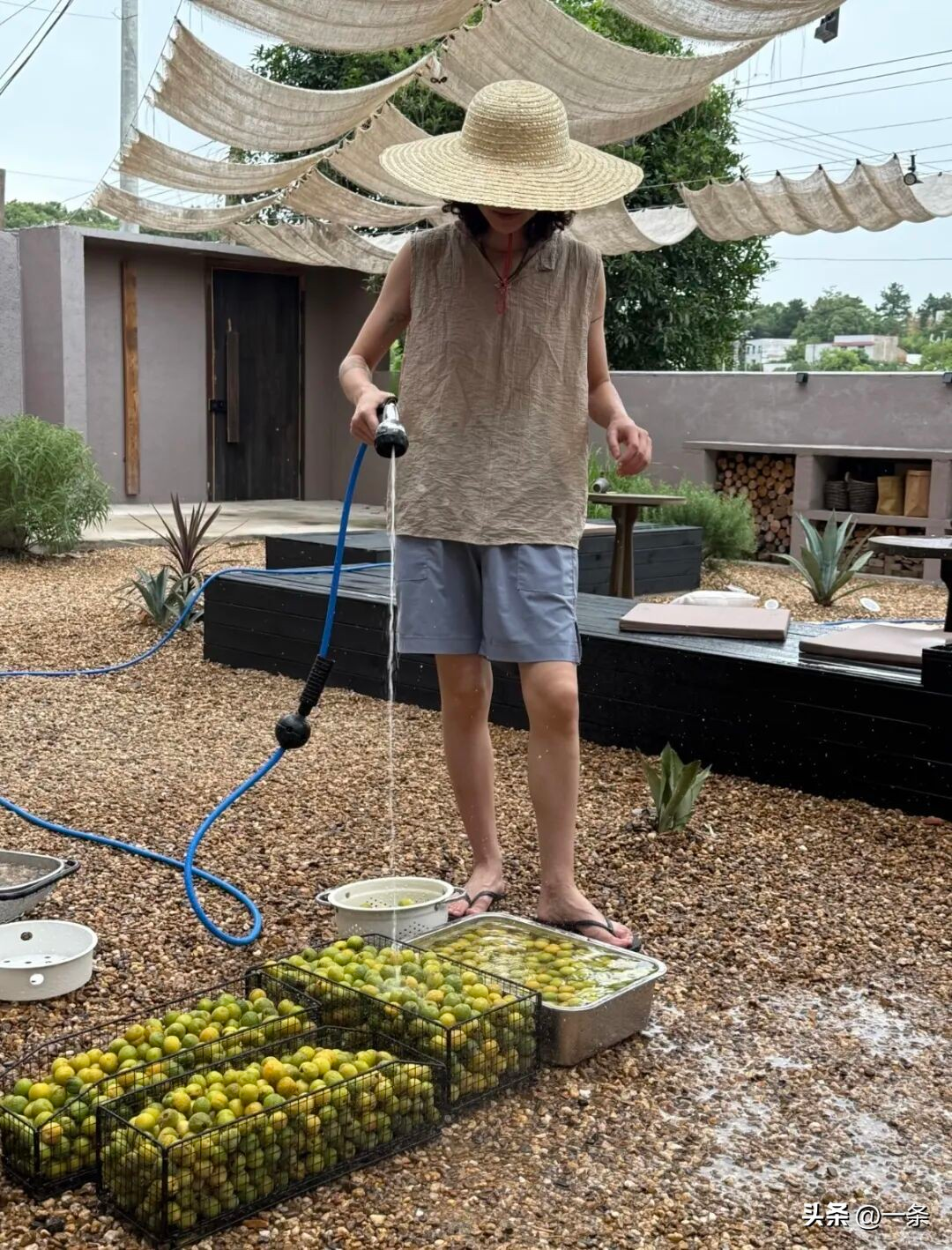  Hai người phụ nữ 40  bỏ phố về quê: Chi 400 triệu cải tạo nhà cũ, tạo mô hình sống - làm - nghỉ bền vững và tự chủ tài chính- Ảnh 7.