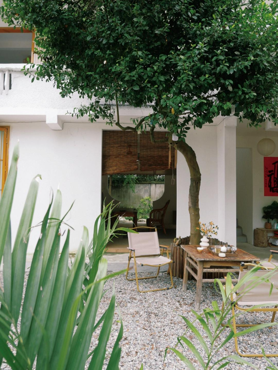 Giảm 70% chi phí sống: Thuê nhà 900.000đ/tháng để ‘mua lại tự do’ - cách tối ưu tài chính mà ở thành phố không làm được- Ảnh 10.