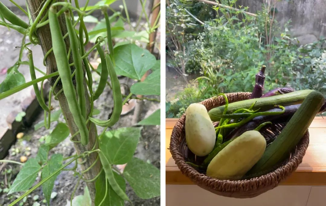 Giảm 70% chi phí sống: Thuê nhà 900.000đ/tháng để ‘mua lại tự do’ - cách tối ưu tài chính mà ở thành phố không làm được- Ảnh 8.