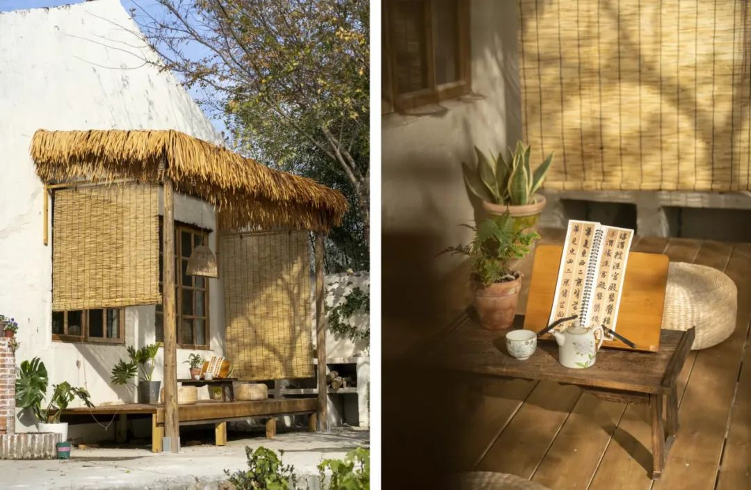 Giảm 70% chi phí sống: Thuê nhà 900.000đ/tháng để ‘mua lại tự do’ - cách tối ưu tài chính mà ở thành phố không làm được- Ảnh 16.