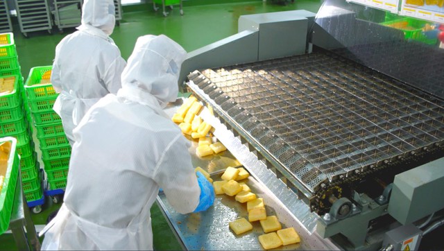 Kowa - Thương hiệu Nhật Bản đầu tư nhà máy thực phẩm triệu đô tại Việt Nam - Ảnh 1.