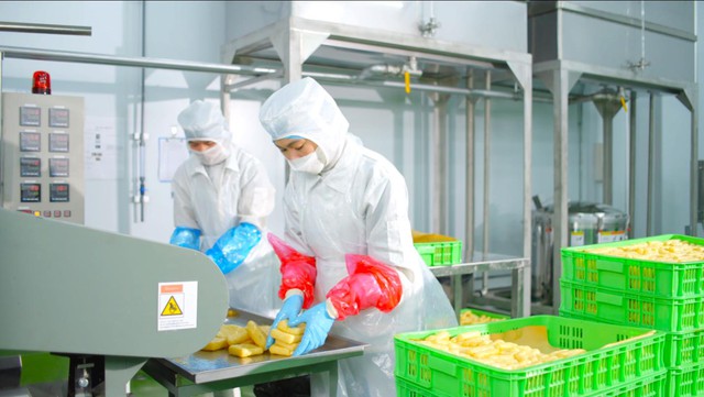 Kowa - Thương hiệu Nhật Bản đầu tư nhà máy thực phẩm triệu đô tại Việt Nam - Ảnh 2.