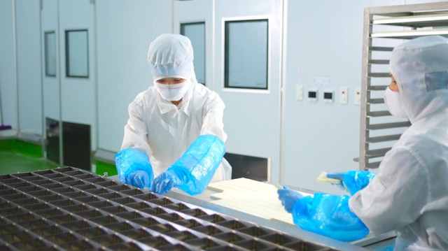 Kowa - Thương hiệu Nhật Bản đầu tư nhà máy thực phẩm triệu đô tại Việt Nam - Ảnh 4.