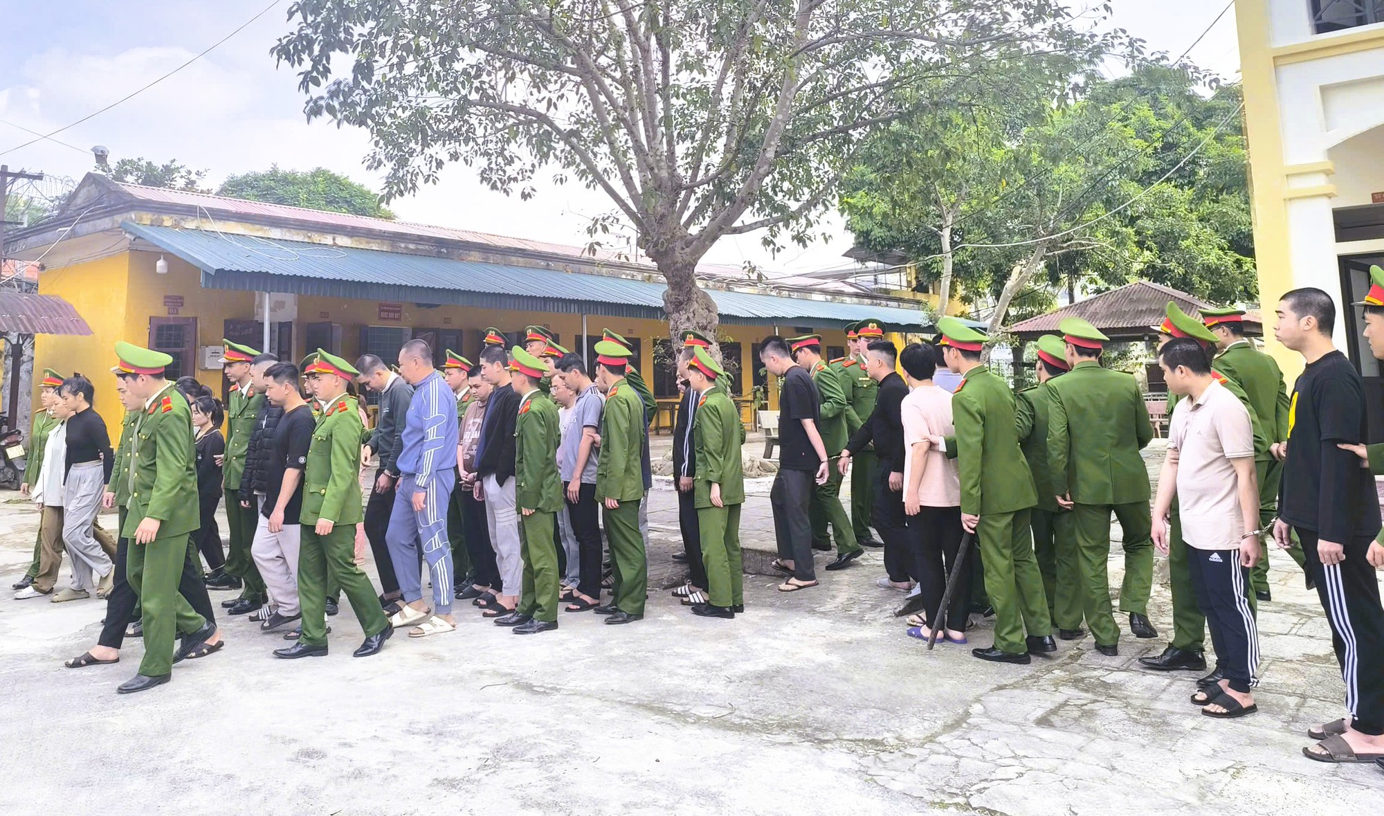 Cả ngàn người sập bẫy trong đường dây lừa đảo, bắt nhiều chủ tịch, giám đốc công ty "ma" - Ảnh 1.