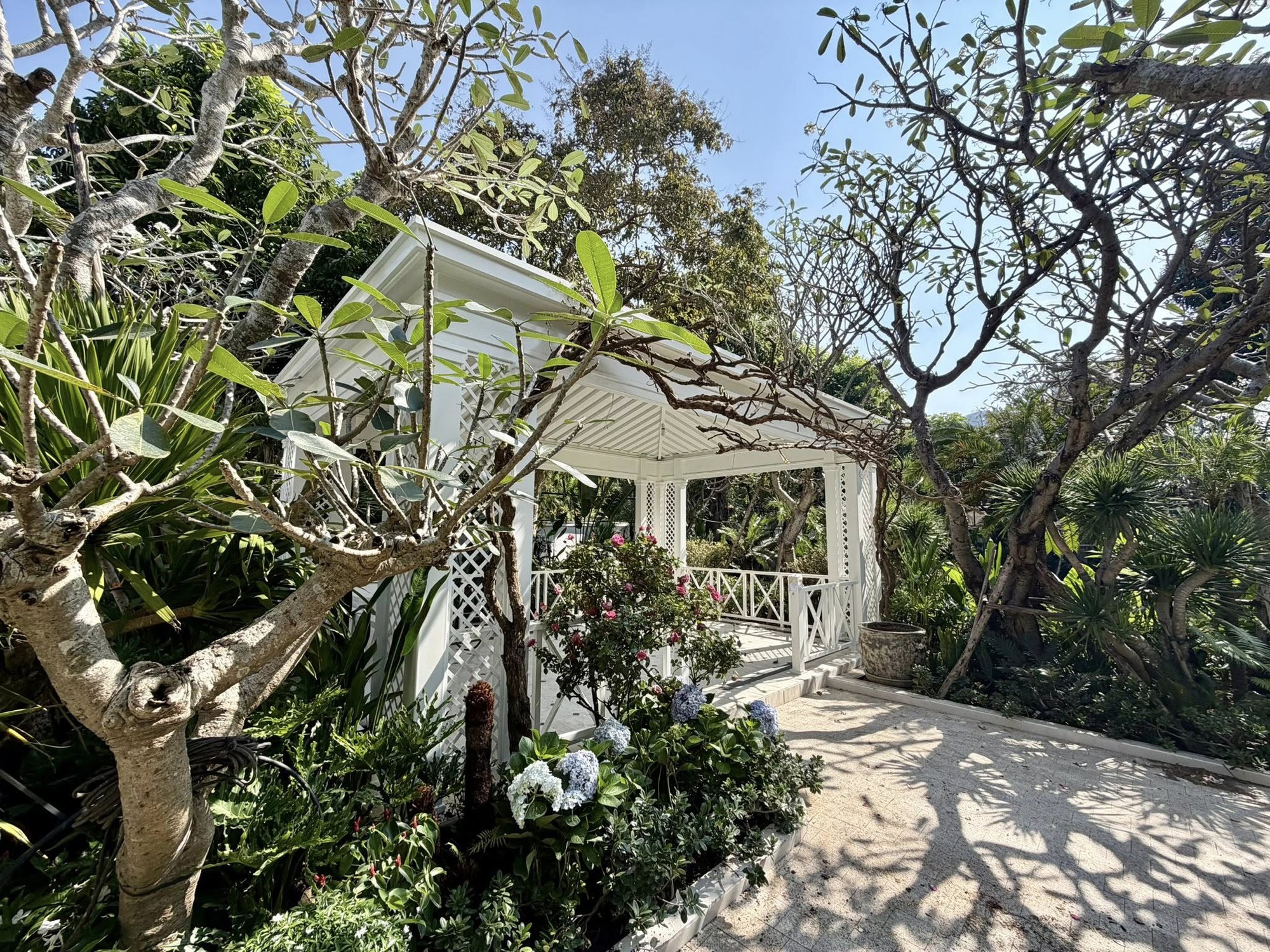 Nhân vật đình đám showbiz khoe biệt thự 2000m2 ở TP.HCM khi bị đồn nghèo, phải livestream mưu sinh- Ảnh 2.