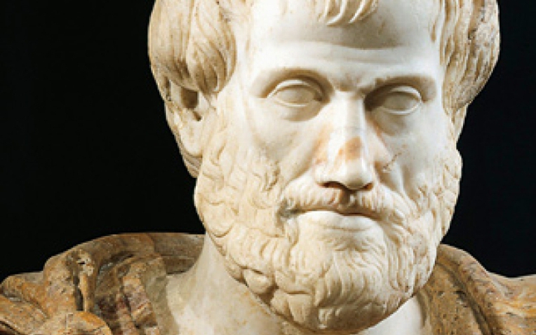 Aristotle đã sai- Ảnh 1.