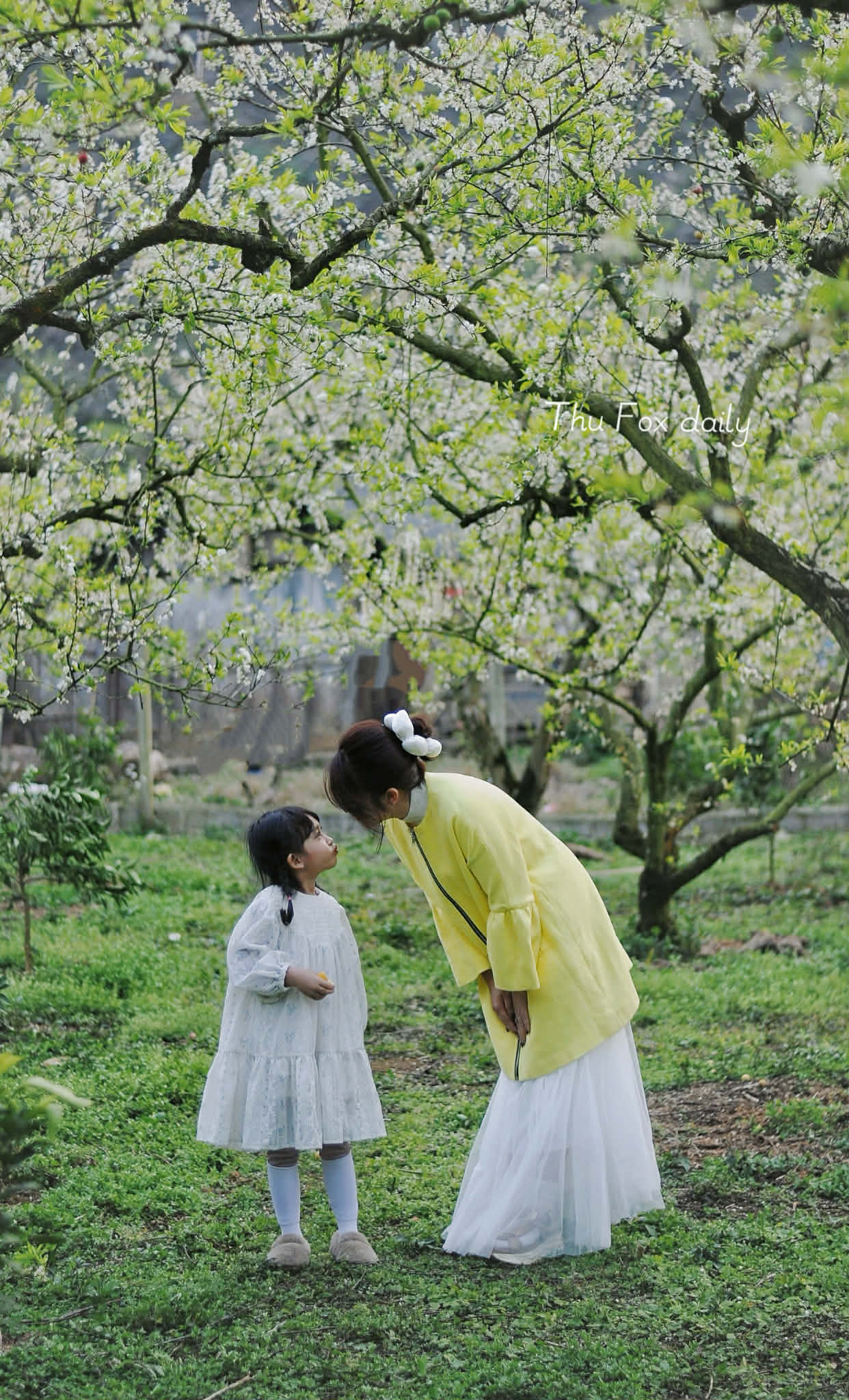 Bỏ việc nhà nước ổn định, cô vợ Hà Nội ở nhà full-time chăm sóc chồng con và cái kết bao người mơ ước- Ảnh 8.