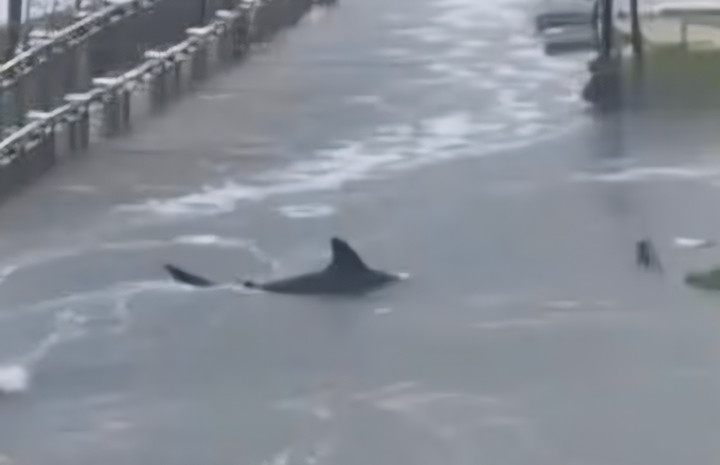 Lệnh cấm, AI kém chất lượng và chatbot gây sốc: Những bê bối mạng xã hội 2025- Ảnh 3.