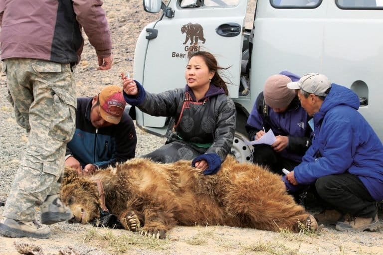 Hiếm hơn cả gấu trúc: "Bóng ma sa mạc" chỉ còn chưa đầy 50 cá thể và bên bờ vực tuyệt chủng - Ảnh 3.